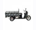 ELECTRIC TRICYCLE  E RIDE CARGO Lion