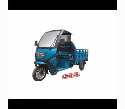ELECTRIC TRICYCLE CARGO ROOF Lion