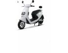 ELECTRIC SCOOTER GOLDY 50 2000W DRIVE LISENCE 50cc